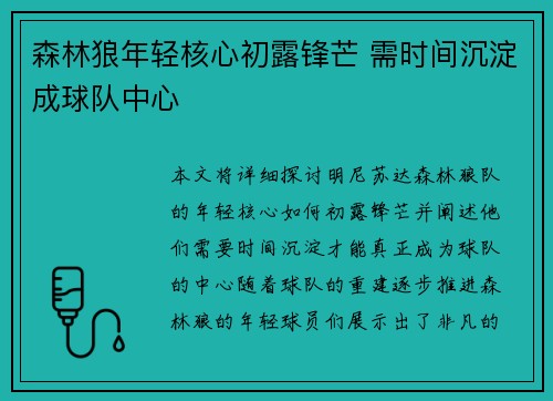 森林狼年轻核心初露锋芒 需时间沉淀成球队中心