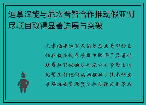 迪拿汉能与尼坎晋智合作推动假亚倒尽项目取得显著进展与突破